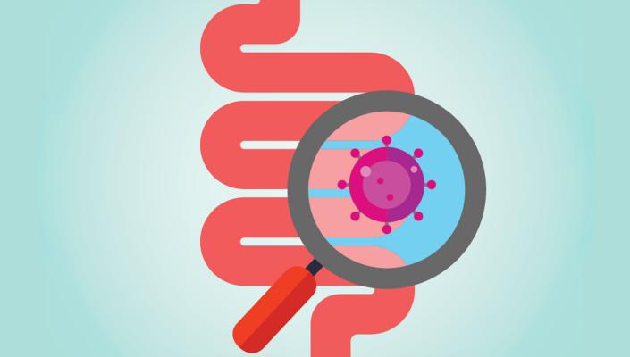 intestine graphic