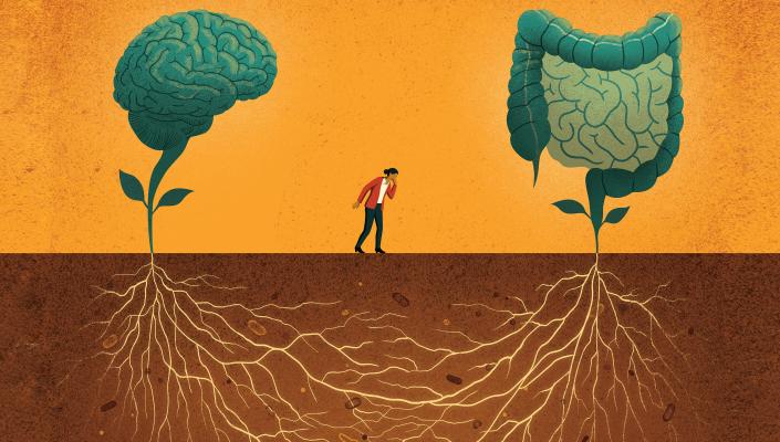 an illustration of a brain and intestines as plants growing above ground with roots connecting underground