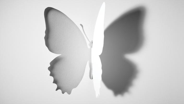 An illustration of a white butterfly and its shadow.