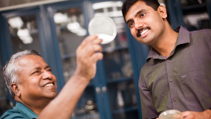 Srinivasan Chandrasegaran and Sivaprakash Ramalingam look together at a culture plate