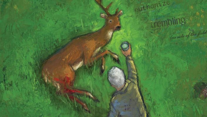 A wounded deer with one antler lays in a field as a person offers it water.