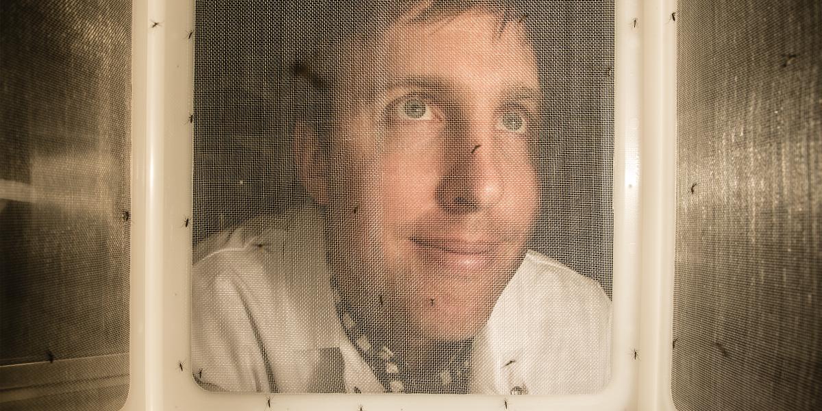 Conor McMeniman looks through a screen at mosquitoes