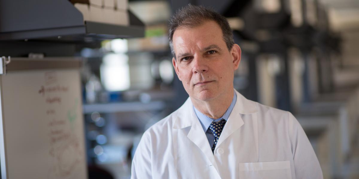 Arturo Casadevall in his lab