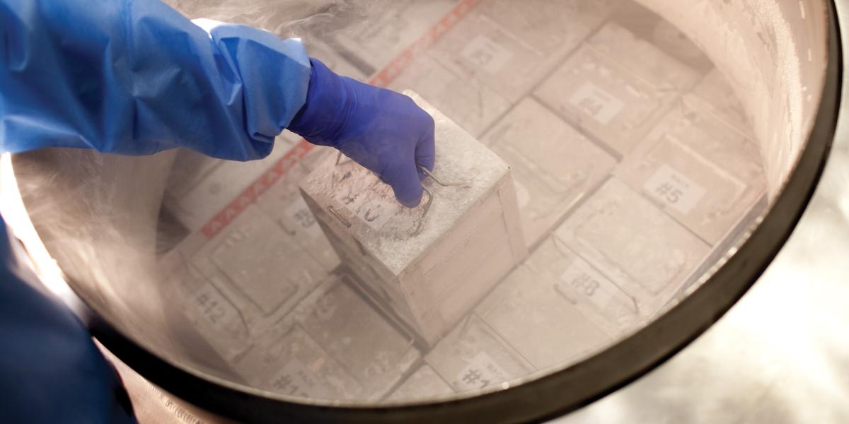 a gloved hand lifts a frozen sample from one of the biorepository's cylinders