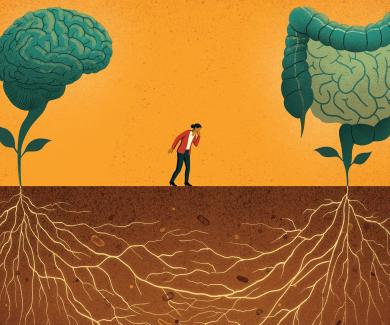 an illustration of a brain and intestines as plants growing above ground with roots connecting underground