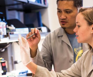 Carly Crump and Rhoel Dinglasan examine a petri dish in the lab.