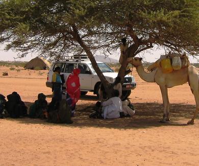 Researchers talk with herdsmen in the shade of an isolated tree; a white SUV and a camel are in the background