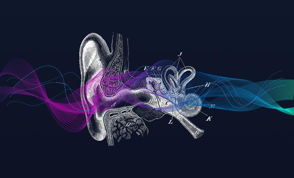 Ear simulation